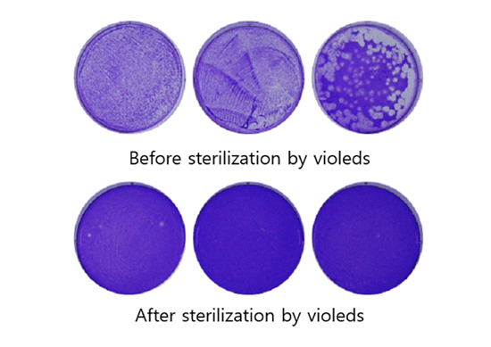 UV LED燈，能不能殺死冠狀病毒？